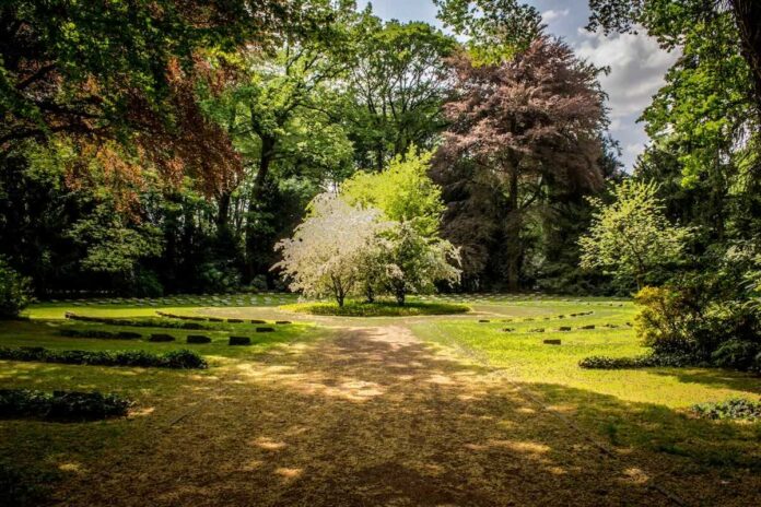 Biodiversiteit in uw eigen tuin: Een toevluchtsoord voor de natuur