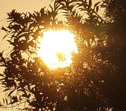 Een zondag met zon.