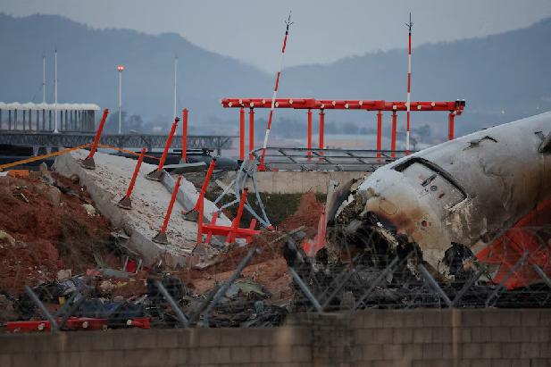 DNA van eenden in beide motoren van neergestorte Jeju Air-vliegtuig