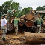Operatie Maravalha Amazone