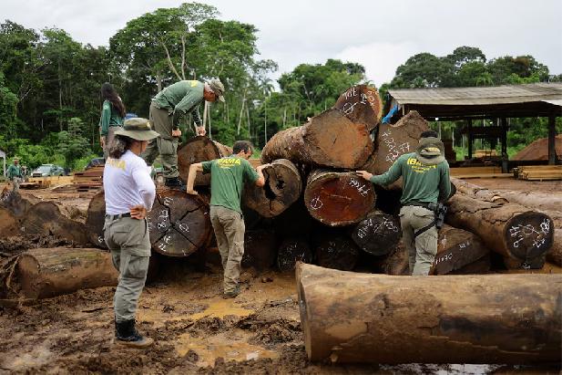 Brazilië beëindigt illegale houtkap in het Amazonegebied
