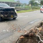 Auto Botst Tegen Boom op Letitia Vriesdelaan – Bestuurster Ongedeerd