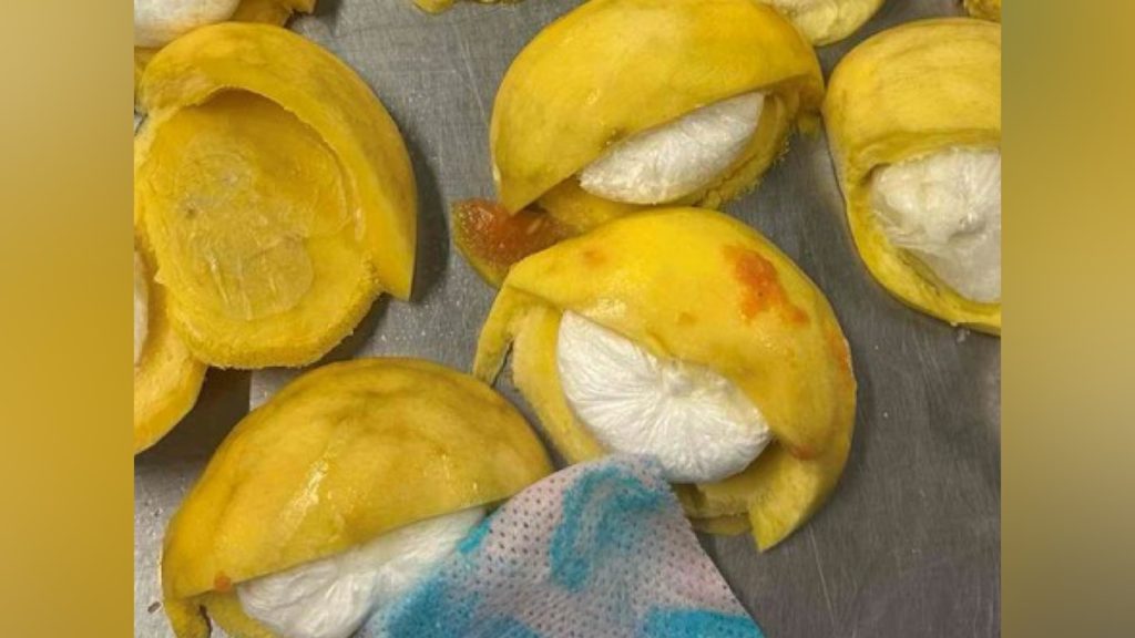 Afbeelding van de onderschepte cocaïne in fruit.