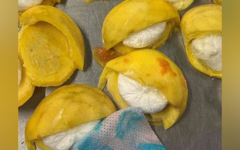 Nederlandse douane vangt drugs ingekapseld in fruit