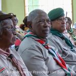 De huldiging van de padvinders tijdens Baden-Powell Day