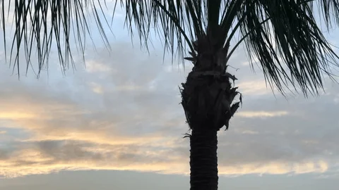 Regen en wolken afwisselend aanwezig