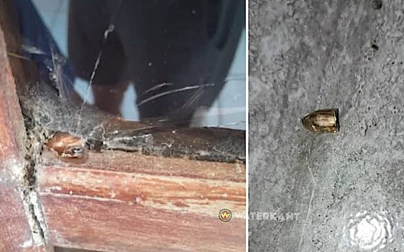 Onbekenden schieten in de lucht: twee huizen in Wanica getroffen