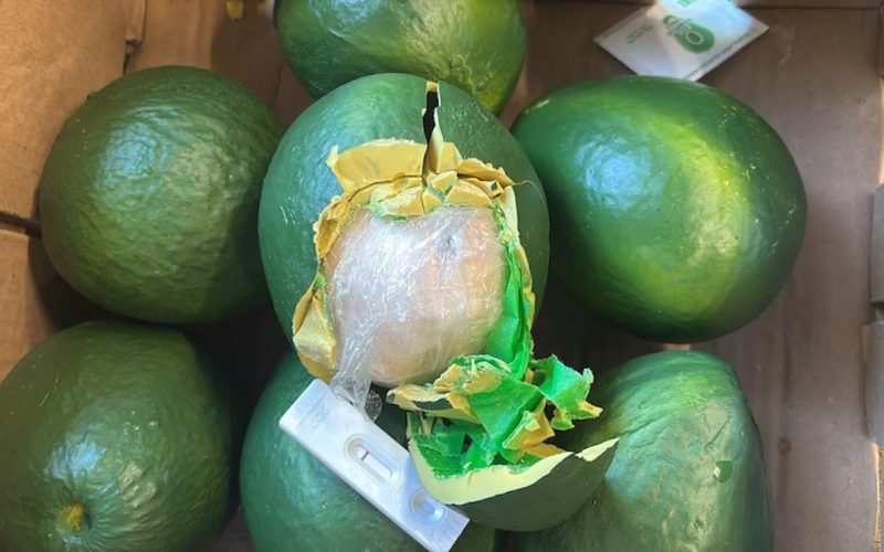 Avocado neergestort: blijkt vals en vol drugs te zitten