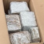 Hasj onderschept in haven van Vlissingen onderweg naar Suriname
