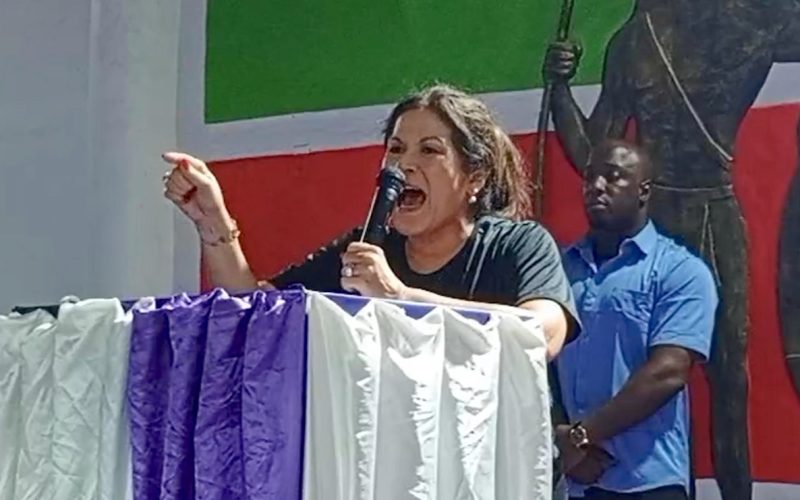 Ingrid Bouterse: “Mi taigi a regering disi seti wan pikin oso…wan pikin doifi koi”