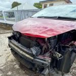 weer vitz in het volle licht vernietigd