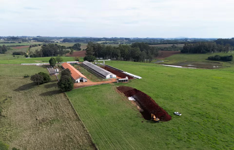 Uitbraak van Vogelgriep in Brazilië: Gevolgen voor de Pluimveesector