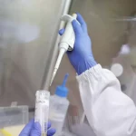 Vogelgriepuitbraak in Brazilië veroorzaakt exportverbod