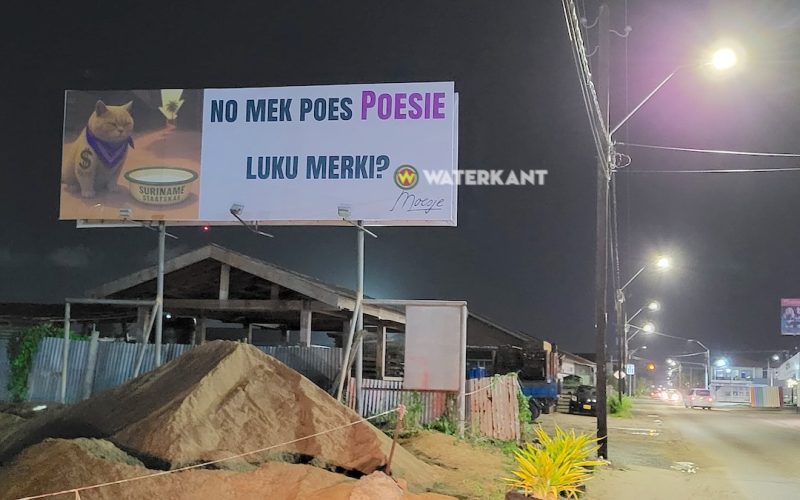 Moesje billboard met de tekst No mek poes poesie luku merki gezien