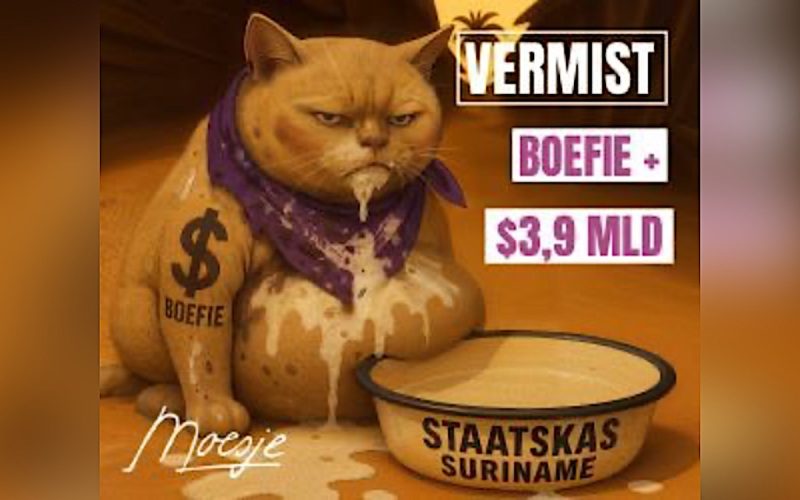 Satirisch reclamebord met dikke kat ‘Boefie’ kort na installatie beschadigd