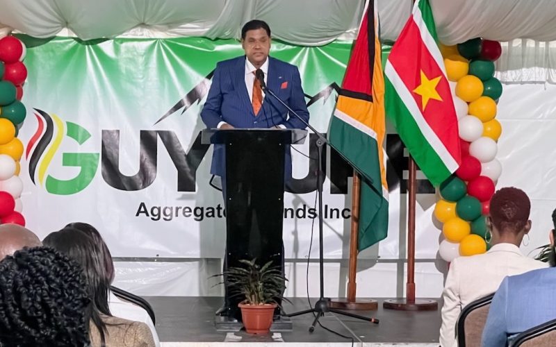 Suriname makt geschiedenis: eerste staatsonderneming settelt zich buiten de landsgrenzen